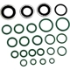 Purchase Top-Quality ACDELCO - 15-2555GM - Seal KIT pa1