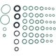 Purchase Top-Quality FOUR SEASONS - 26012 - A/C System O-Ring and Gasket Kit pa1