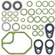 Purchase Top-Quality Air Conditioning Seal Repair Kit by FOUR SEASONS - 26762 pa3