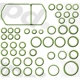 Purchase Top-Quality Air Conditioning Seal Repair Kit by GLOBAL PARTS DISTRIBUTORS - 1321288 pa1