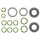 Purchase Top-Quality Air Conditioning Seal Repair Kit by GLOBAL PARTS DISTRIBUTORS - 1321291 pa3