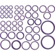 Purchase Top-Quality GLOBAL PARTS DISTRIBUTORS - 1321301 - Air Conditioning Seal Repair Kit pa5