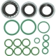 Purchase Top-Quality Air Conditioning Seal Repair Kit by UAC - RS2546 pa1