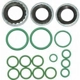Purchase Top-Quality Air Conditioning Seal Repair Kit by UAC - RS2546 pa2