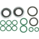 Purchase Top-Quality Air Conditioning Seal Repair Kit by UAC - RS2600 pa1