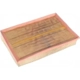 Purchase Top-Quality AC DELCO - A3146C - Air Filter pa3