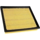 Purchase Top-Quality ACDELCO - A3176C - Rectangular Air Filter pa2