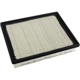Purchase Top-Quality ACDELCO - A3181C - Panel Air Filter pa2