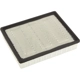 Purchase Top-Quality ACDELCO - A3181CF - Durapack Air Filter pa1