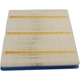 Purchase Top-Quality ACDELCO - A3195C - Panel Air Filter pa2