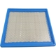 Purchase Top-Quality ACDELCO - A3195C - Panel Air Filter pa5