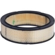 Purchase Top-Quality ACDELCO - A348C - Round Air Filter pa3