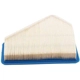 Purchase Top-Quality ACDELCO - A3096C - Pentagon Air Filter pa4