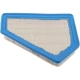 Purchase Top-Quality ACDELCO - A3096C - Pentagon Air Filter pa5