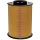 Purchase Top-Quality ACDELCO - A3626C - Cylinder Air Filter pa2