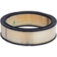 Purchase Top-Quality ACDELCO PROFESSIONAL - A348C - Round Air Filter pa1