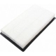 Purchase Top-Quality Air Filter by ACDELCO PROFESSIONAL - A3155C pa1