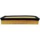 Purchase Top-Quality Air Filter by ACDELCO PROFESSIONAL - A3169C pa1