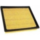 Purchase Top-Quality Air Filter by ACDELCO PROFESSIONAL - A3176C pa2