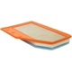 Purchase Top-Quality Air Filter by BALDWIN - PA10430 pa1