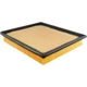 Purchase Top-Quality Air Filter by BALDWIN - PA10001 pa2