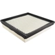 Purchase Top-Quality Air Filter by BALDWIN - PA10004 pa1