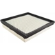 Purchase Top-Quality Air Filter by BALDWIN - PA10004 pa2