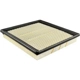 Purchase Top-Quality Air Filter by BALDWIN - PA10015 pa2