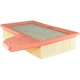 Purchase Top-Quality Air Filter by BALDWIN - PA10033 pa1