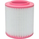 Purchase Top-Quality Air Filter by BALDWIN - PA10119 pa1