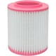Purchase Top-Quality Air Filter by BALDWIN - PA10119 pa2