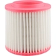 Purchase Top-Quality Air Filter by BALDWIN - PA10126 pa1