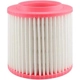 Purchase Top-Quality Air Filter by BALDWIN - PA10126 pa2