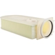 Purchase Top-Quality BALDWIN - PA10243 - Air Filter pa1