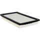 Purchase Top-Quality Air Filter by BALDWIN - PA10296 pa1