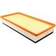 Purchase Top-Quality Air Filter by BALDWIN - PA10340 pa2