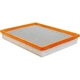 Purchase Top-Quality Air Filter by BALDWIN - PA10341 pa1