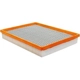 Purchase Top-Quality Air Filter by BALDWIN - PA10341 pa2