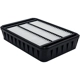 Purchase Top-Quality BALDWIN - PA10379 - Air Filter pa1