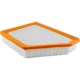 Purchase Top-Quality Air Filter by BALDWIN - PA10387 pa2