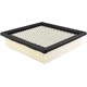 Purchase Top-Quality Air Filter by BALDWIN - PA10389 pa1
