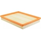 Purchase Top-Quality Air Filter by BALDWIN - PA10394 pa2