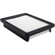 Purchase Top-Quality Air Filter by BALDWIN - PA10403 pa2