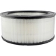 Purchase Top-Quality Air Filter by BALDWIN - PA2092 pa1