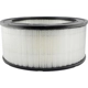 Purchase Top-Quality Air Filter by BALDWIN - PA2092 pa2