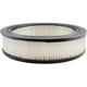 Purchase Top-Quality Air Filter by BALDWIN - PA2117 pa1