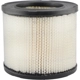 Purchase Top-Quality Air Filter by BALDWIN - PA2134 pa1