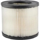 Purchase Top-Quality Air Filter by BALDWIN - PA2134 pa2