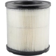 Purchase Top-Quality Air Filter by BALDWIN - PA2136 pa1