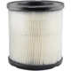 Purchase Top-Quality Air Filter by BALDWIN - PA2136 pa2
